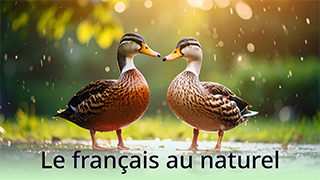 Le français au naturel - B1 - Chanson :  La semaine du canard